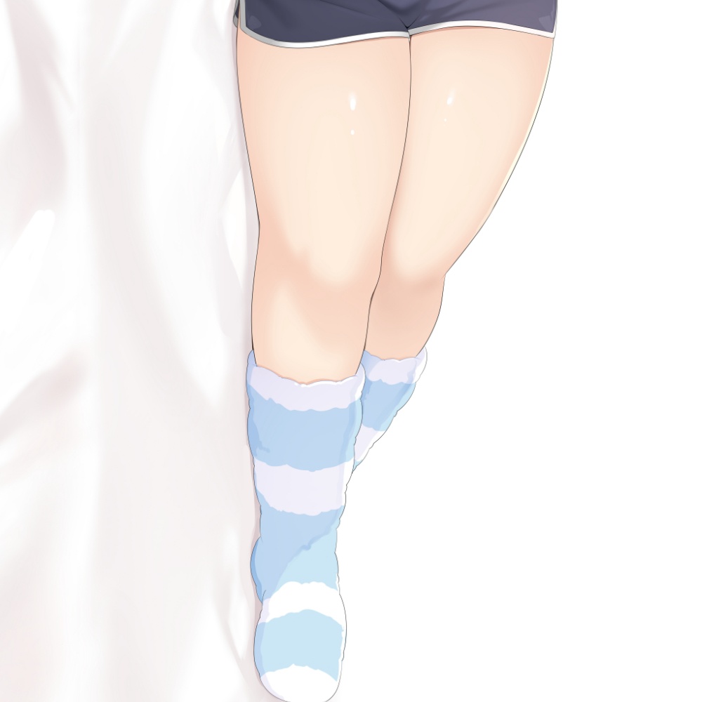 ツイリエルドキドキ抱き枕カバー 2025ver