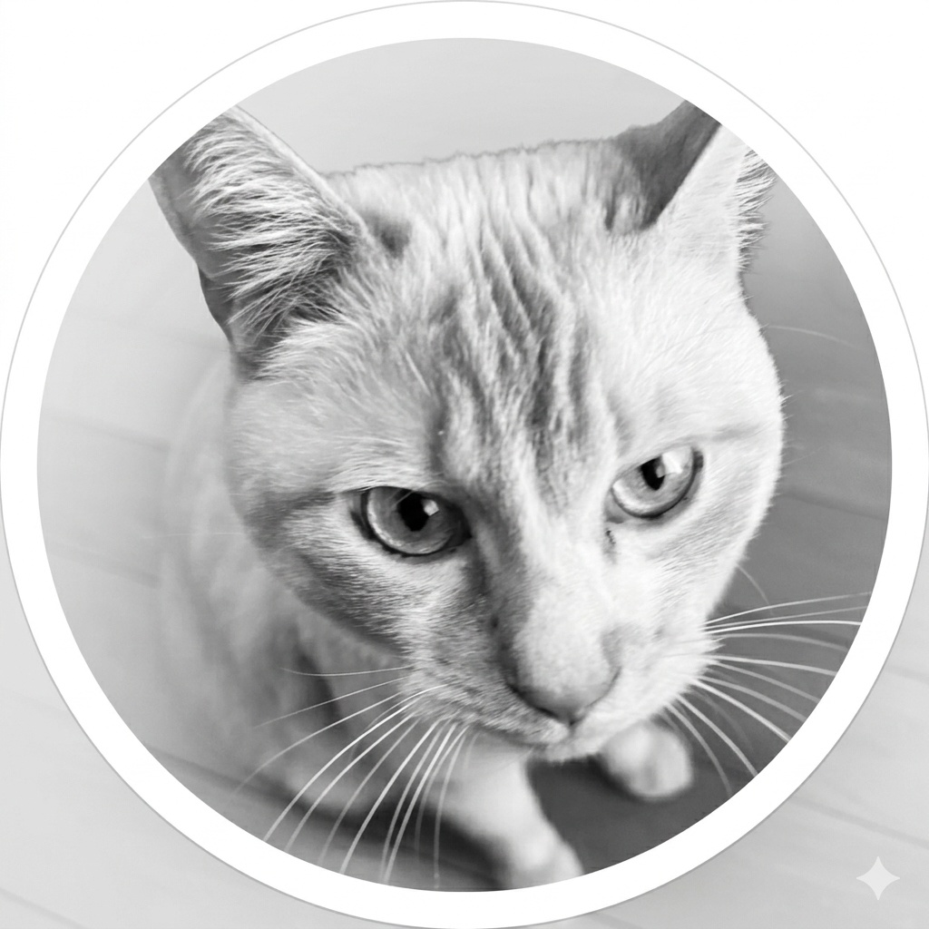 【SNS用素素材】猫のヘッダー&アイコンセット(4色展開)