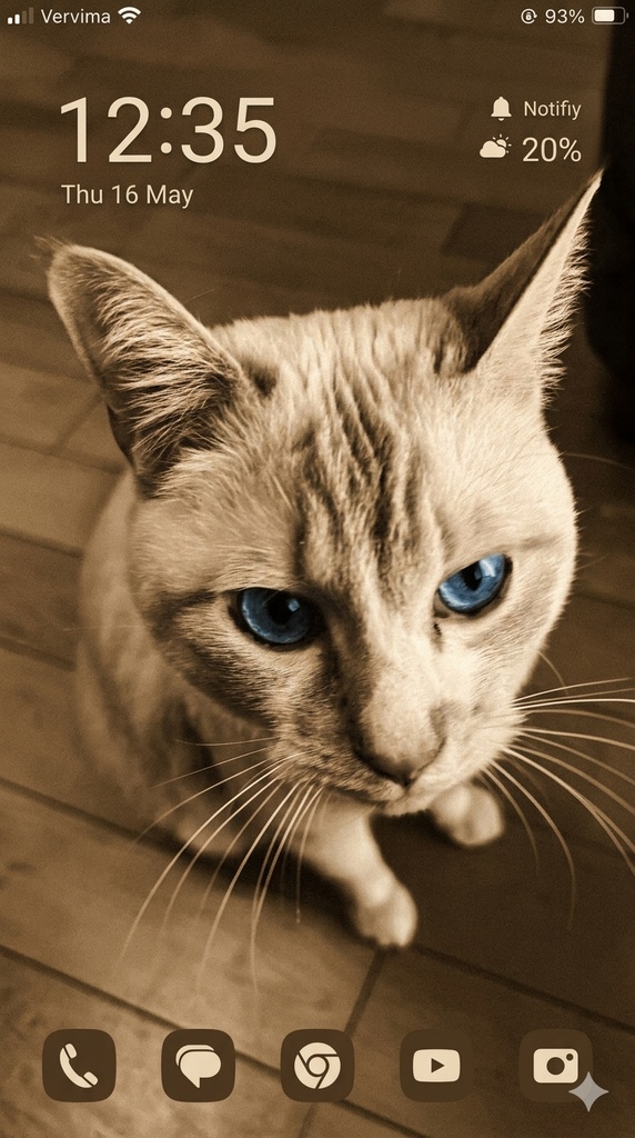 【無料配布】青い瞳が際立つセピアな猫ちゃんのスマホ壁紙