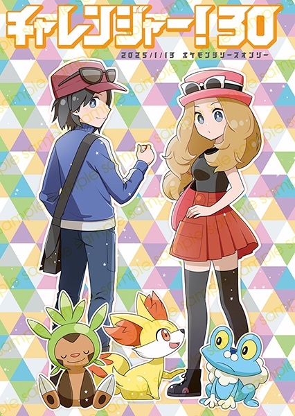 チャレ！30パンフ+記念ノベルティ