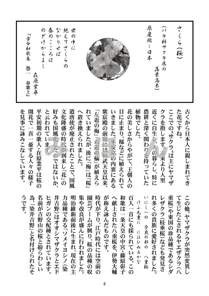 花逍遥~古典を彩る植物たち~