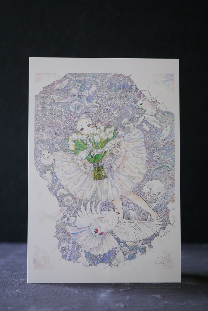 ポストカード　白