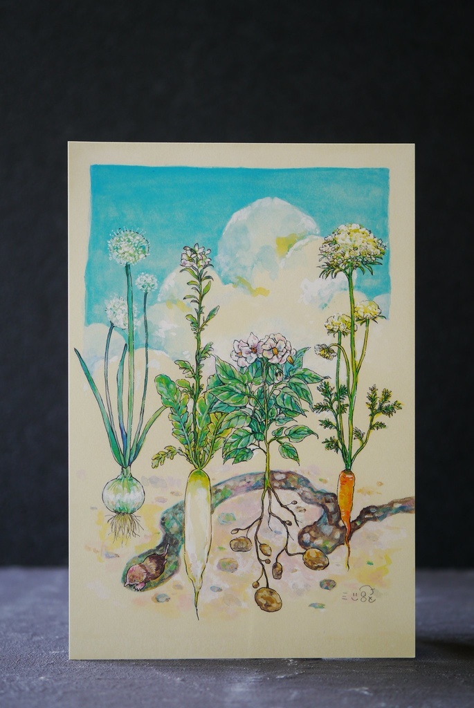 ポストカード　やさいのおはな