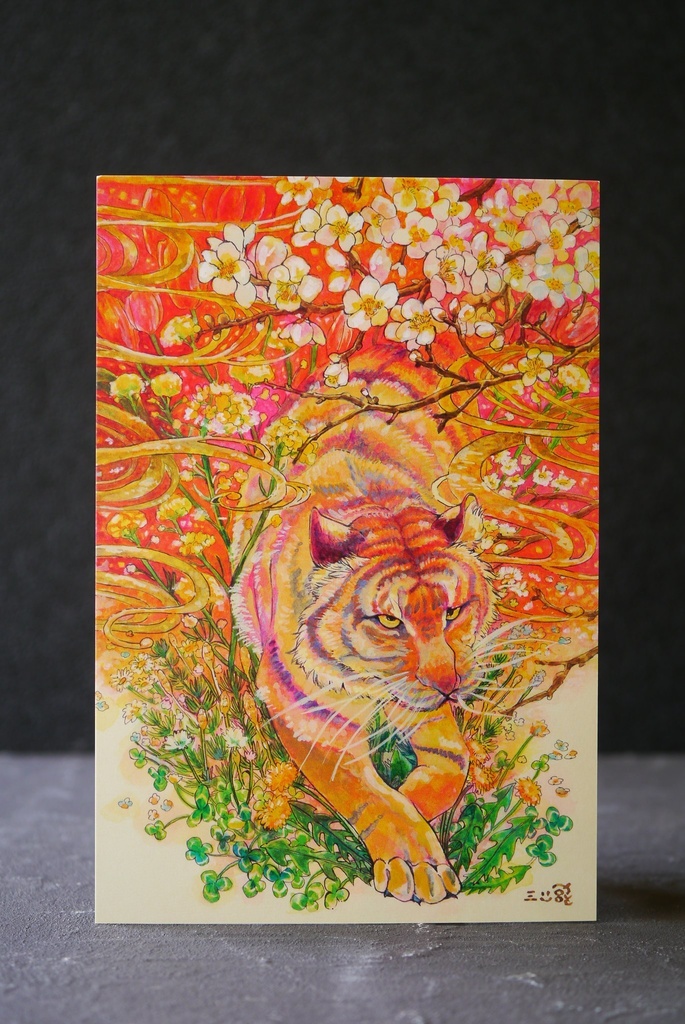 ポストカード　虎