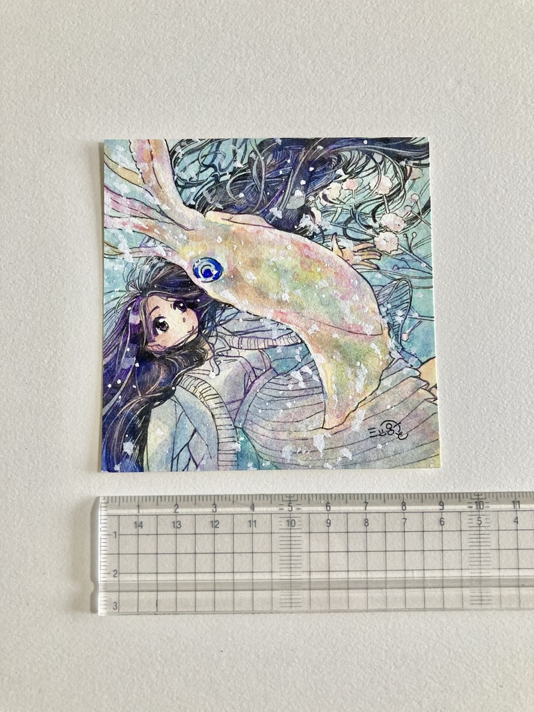 ミニ原画【アオリイカ】