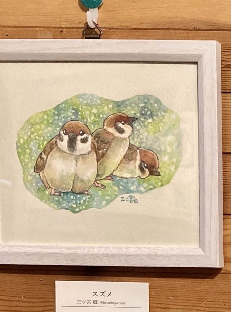 原画【スズメ】