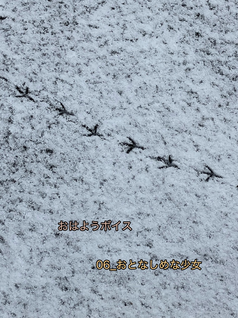 おはようボイス 06_おとなしめな少女