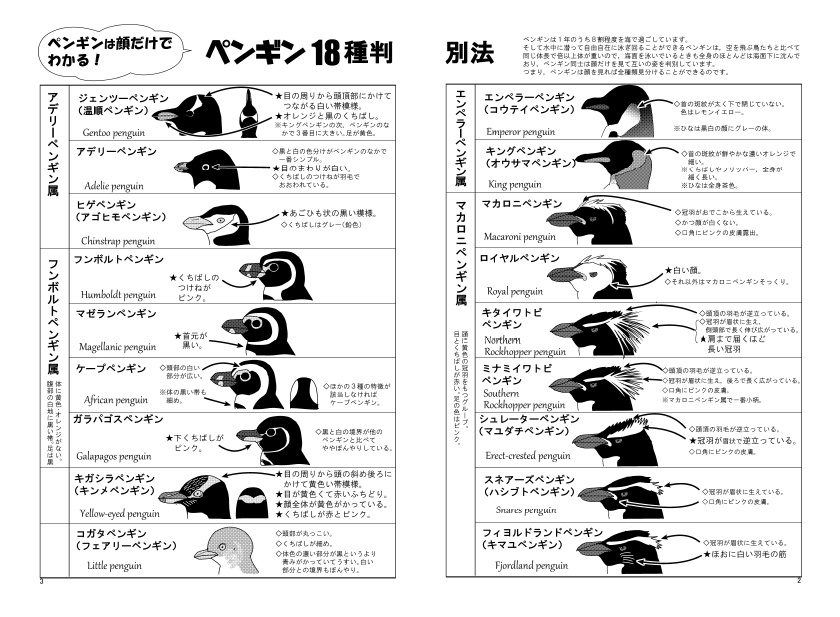 19分でわかるペンギン18種+1
