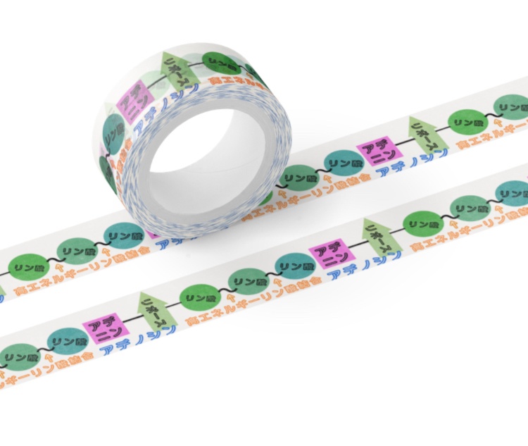 ATP アデノシン三リン酸