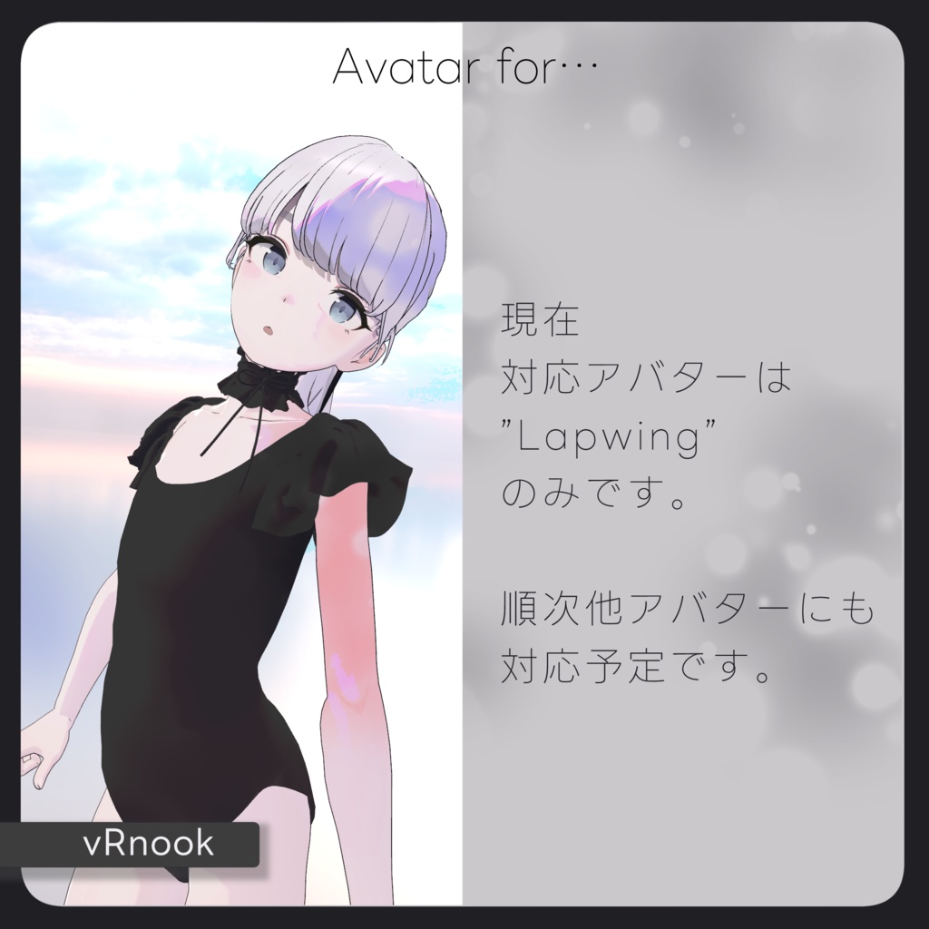 Noir Frill Swimwear【Lapwing対応】