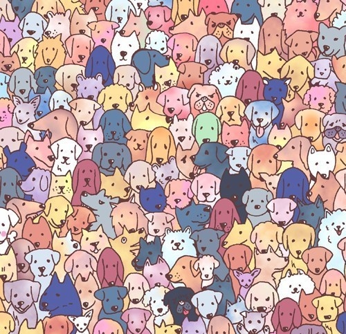 【送料無料】わんこ大集合 Androidスマホケース(ハードケース全面プリント)