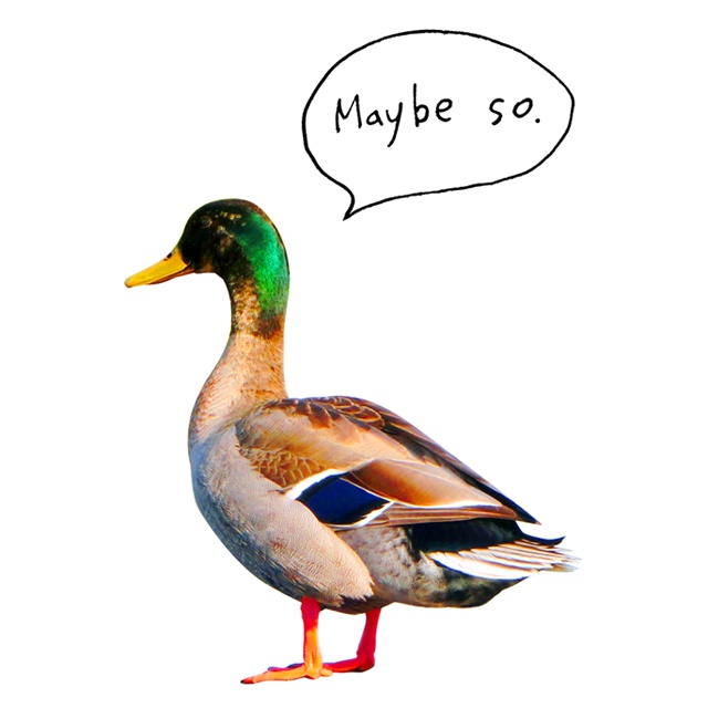 【送料無料・即発送】「そう、かもね」大きめトートバッグ