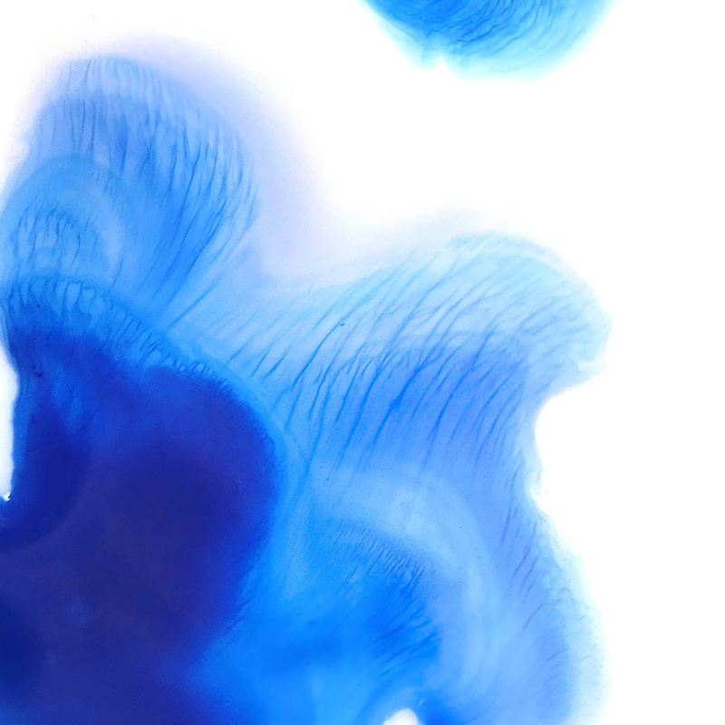 【送料無料】にじむ青 スマホケース(ハードケース全面プリント)