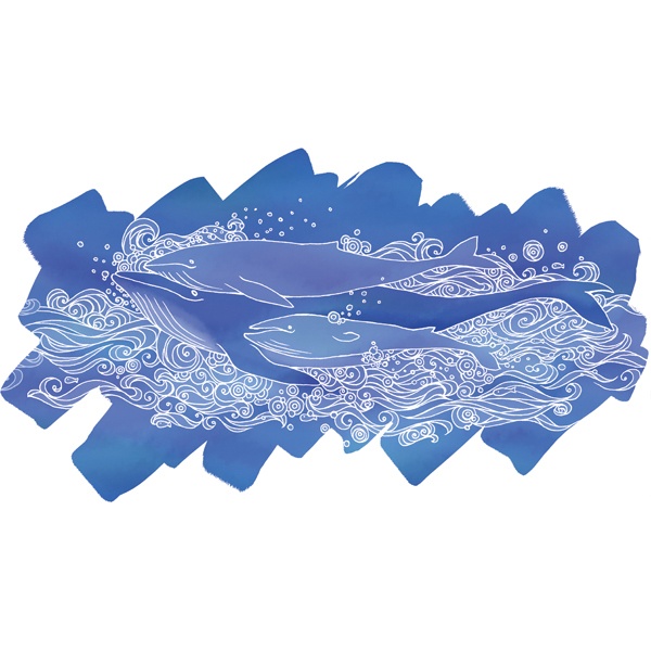 【送料無料】メンズ・レディースサイズ有★くじらTシャツ