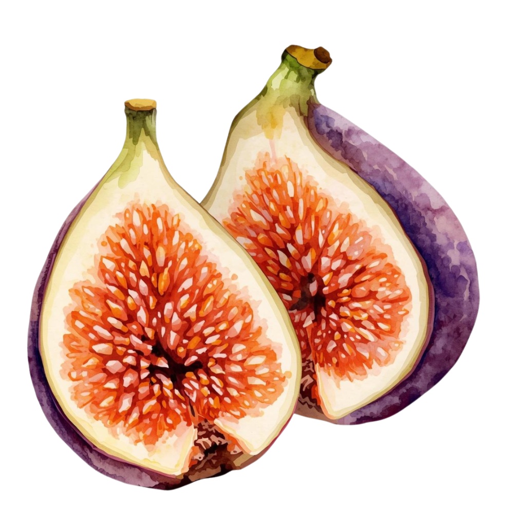 水彩風アンティークタッチの秋の野菜と果物クリップアートセット【PNG背景透過素材】