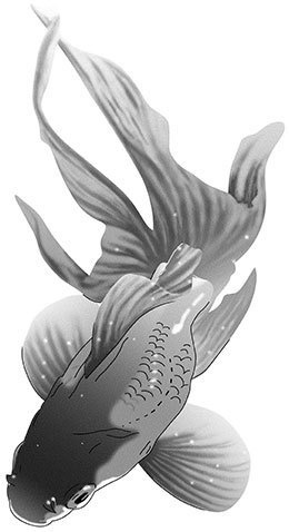 マンガ素材(金魚 背景)