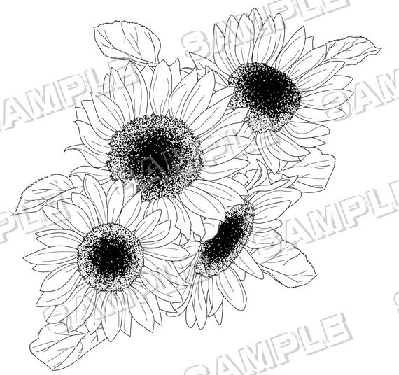 マンガ背景素材(ひまわり 花 植物)