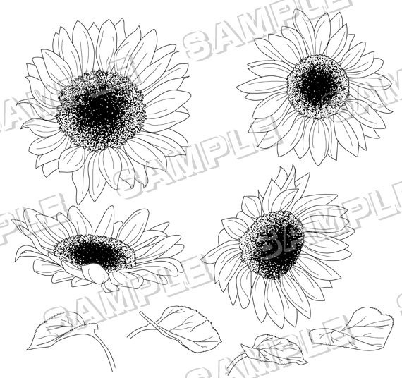 マンガ背景素材(ひまわり 花 植物)