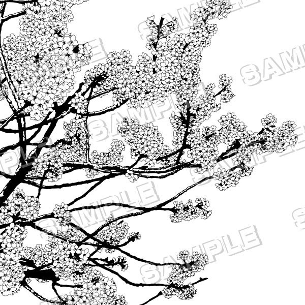 マンガ背景素材セット(桜 さくら 満開 春の花 日本 入学 卒業)