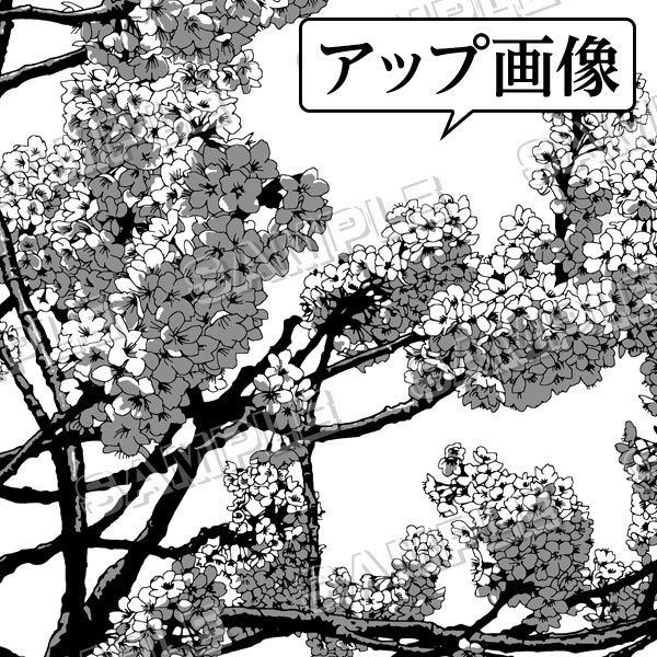 マンガ背景素材セット(桜 さくら 満開 春の花 日本 入学 卒業)