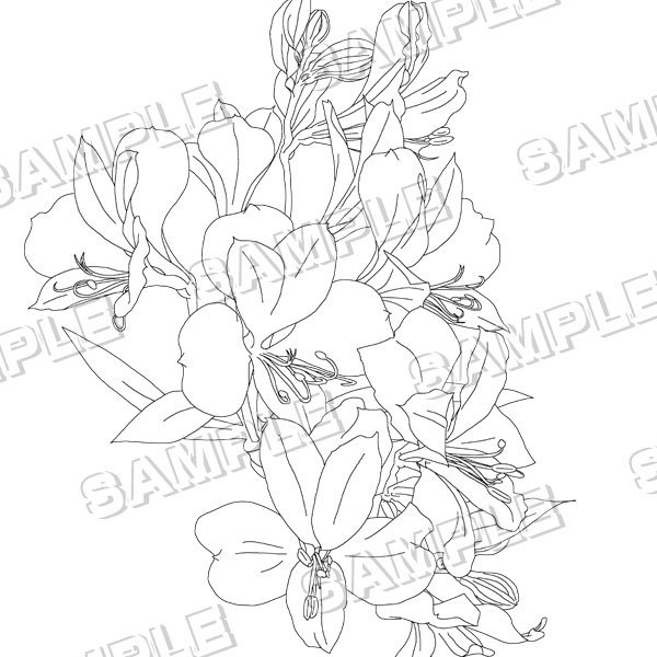 マンガ素材(花 フラワー アレンジ ガーベラ アルストメリア デルフィニューム 金魚草 花束 アレンジメント ガーデン 背景)