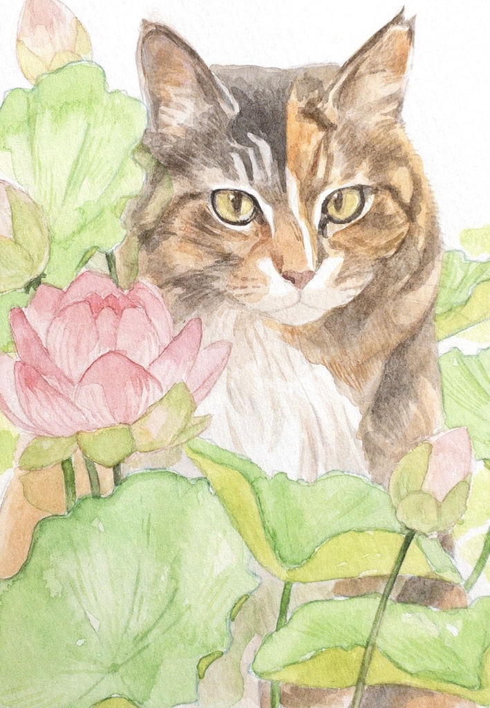 「蓮畑の猫」原画