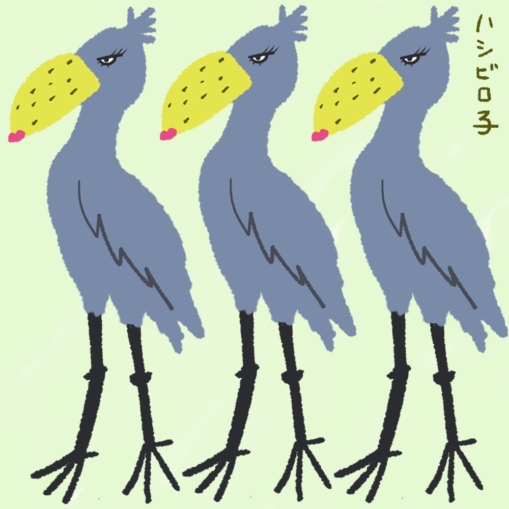 ハシビロ子