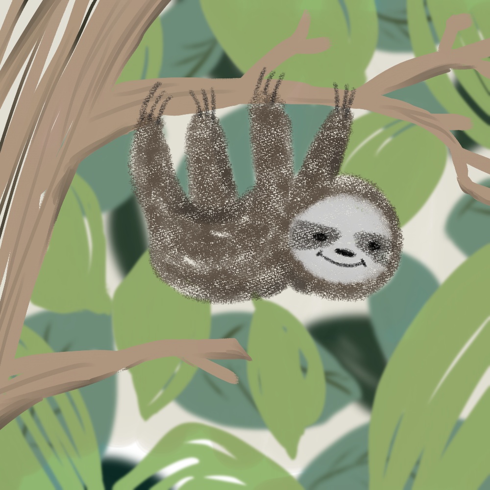ナマケモノ