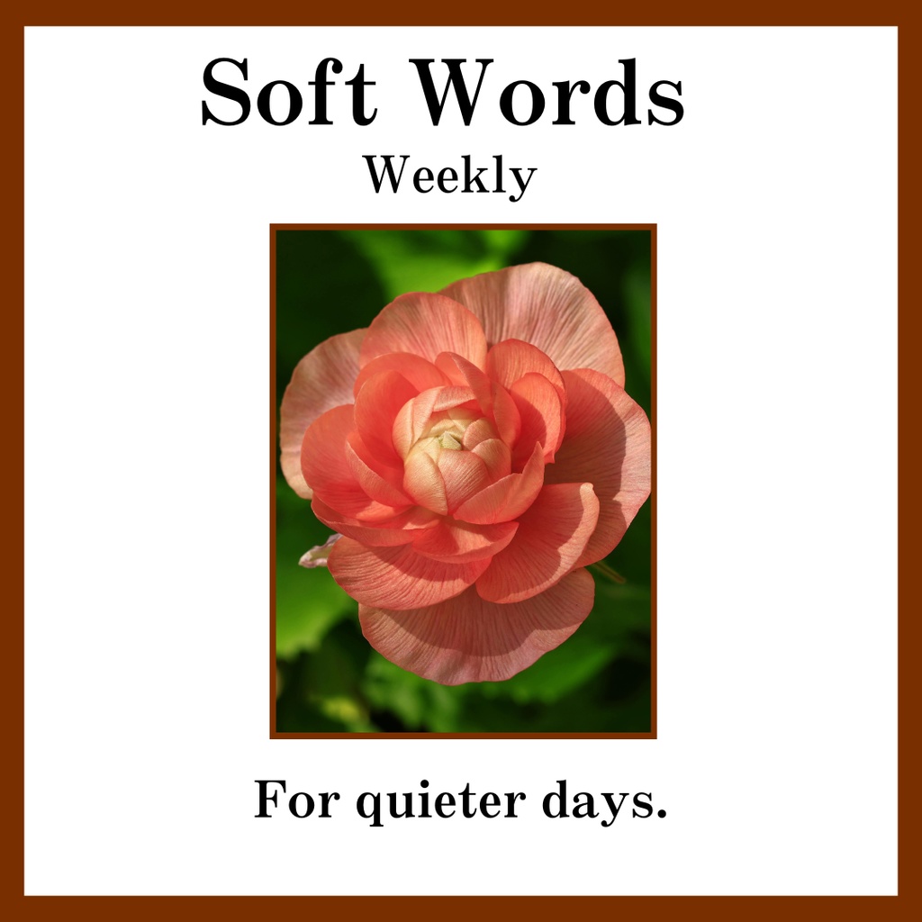 Soft Words | Weekly