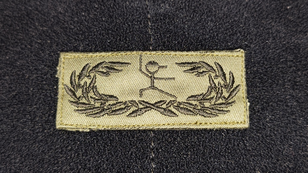陸上自衛隊風　自衛隊体操徽章