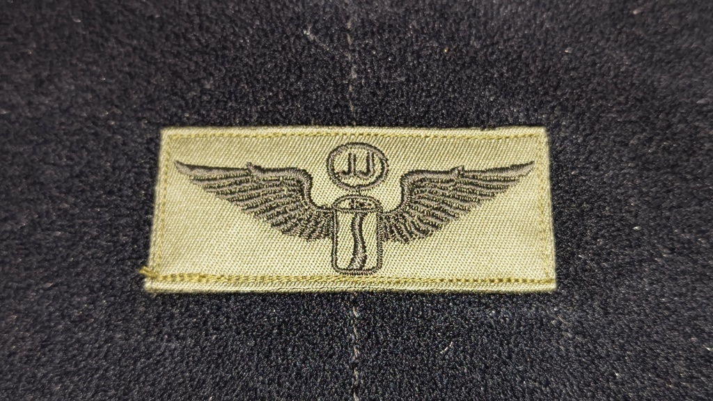 陸上自衛隊風　ジュージャン徽章