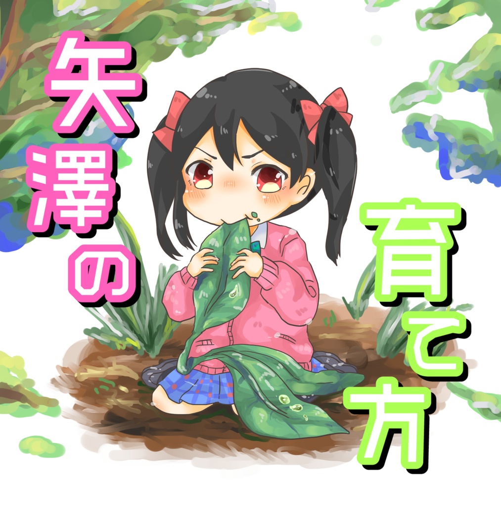 【SALE】矢澤の育て方