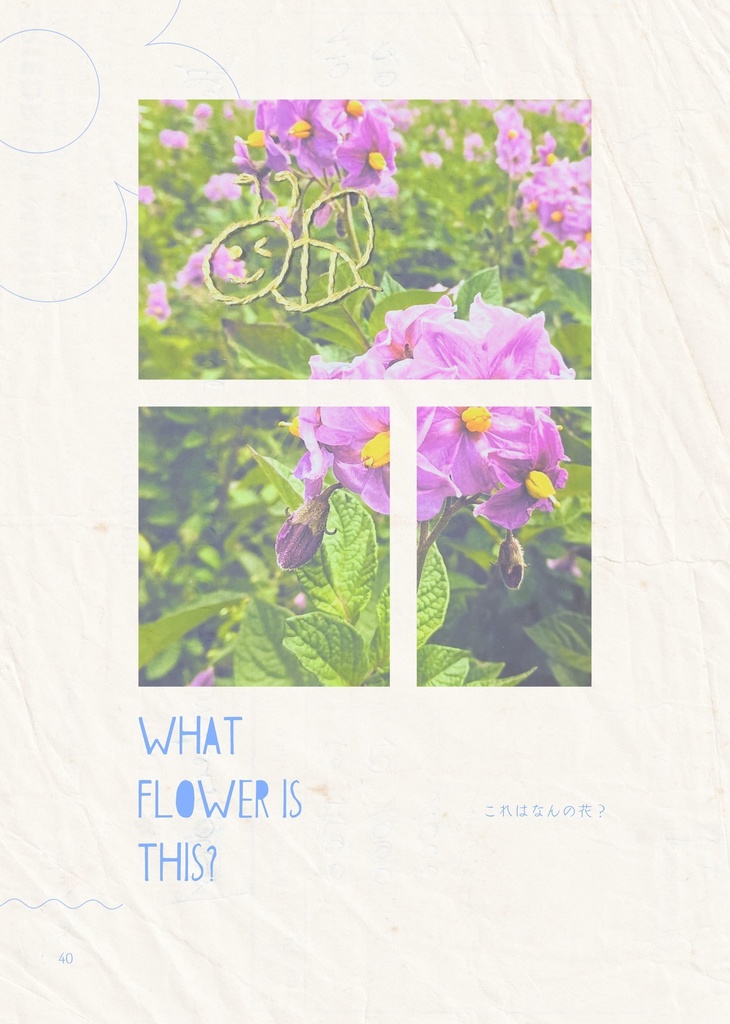 よあそびしゅげいぶ