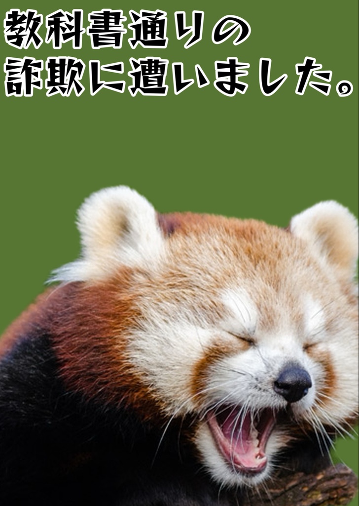 教科書通りの詐欺に遭いました。