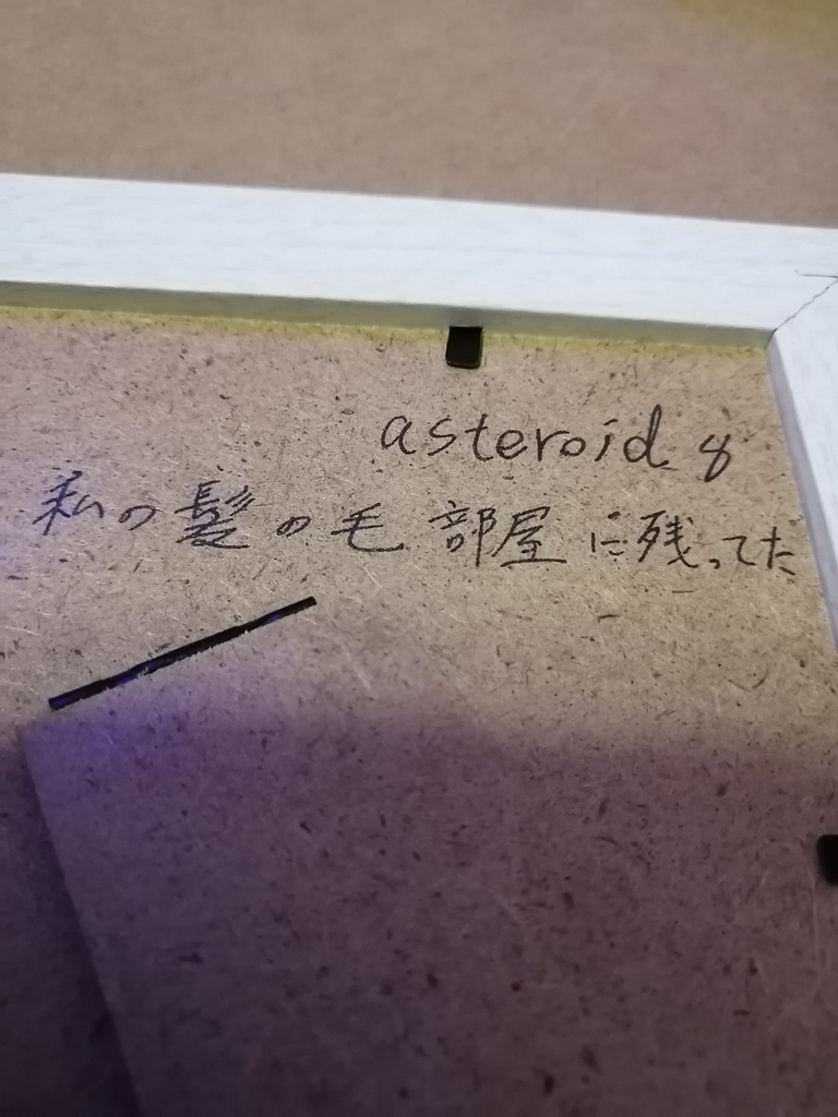 Asteroid 8 私の髪の毛部屋に残ってた 999spica999 Booth