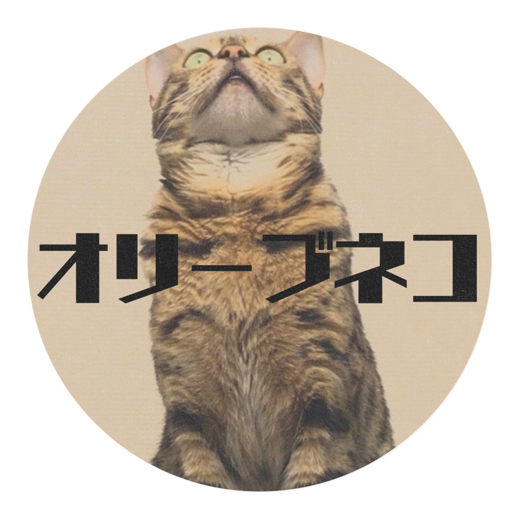 オリーブネコ 1