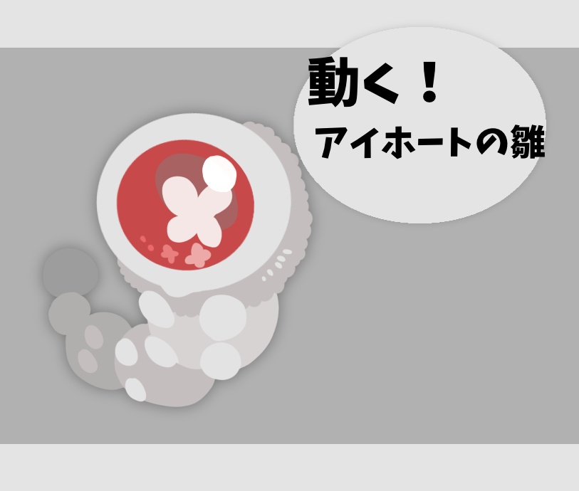 【無料】動く！アイホートの雛