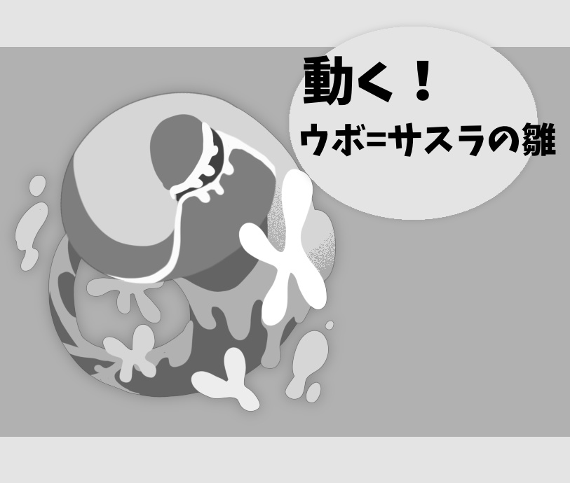 【無料】動く！ちまウボ=サスラの雛