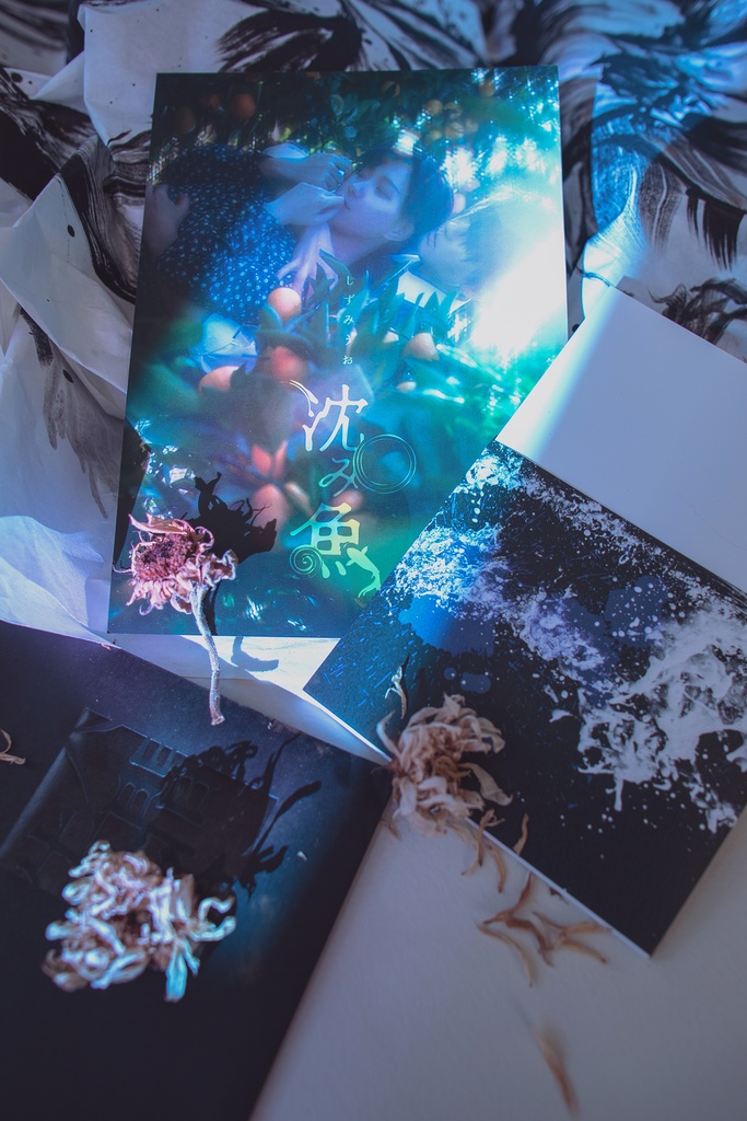 創作写真集「沈み魚」