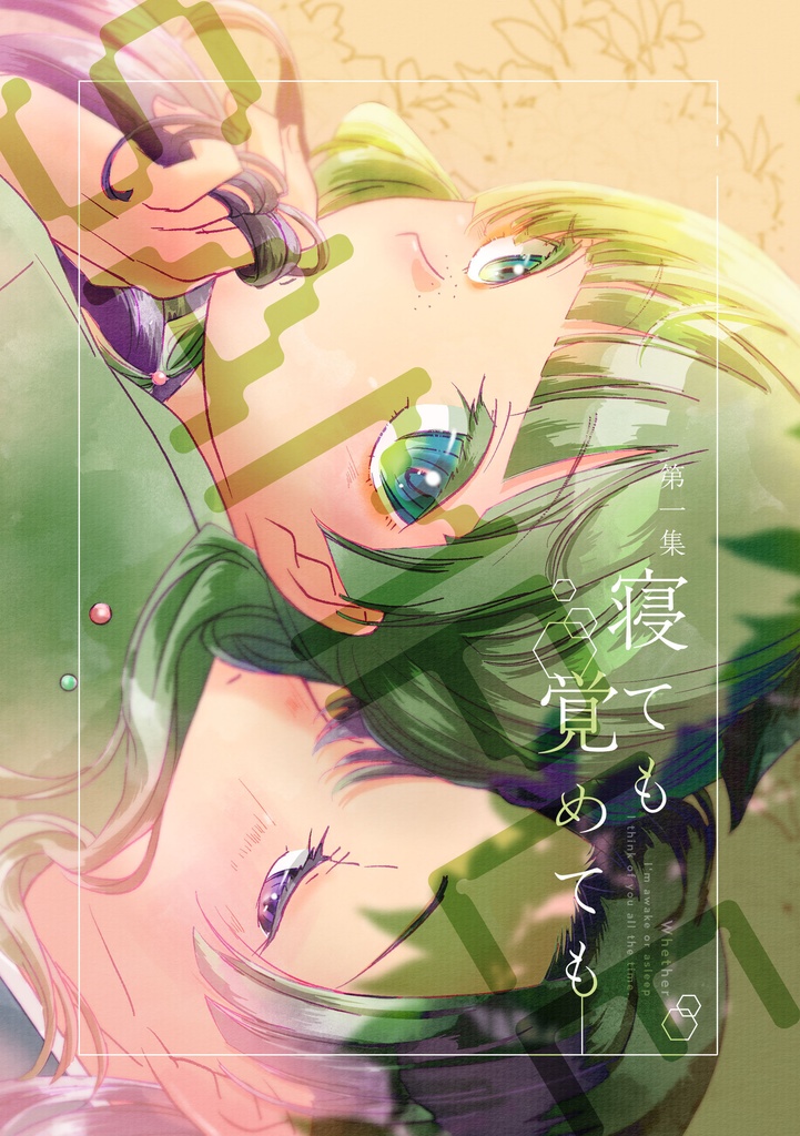 | 既刊 | 寝ても覚めても 第一集