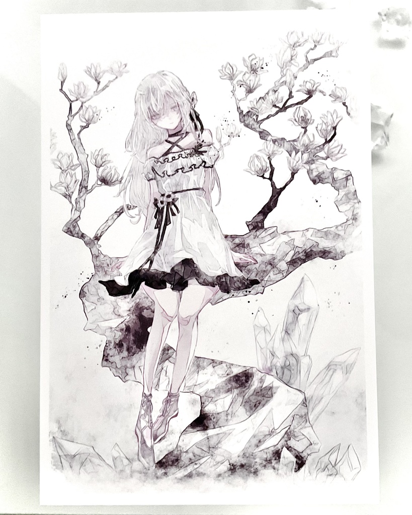 ポストカード(白いマグノリア)