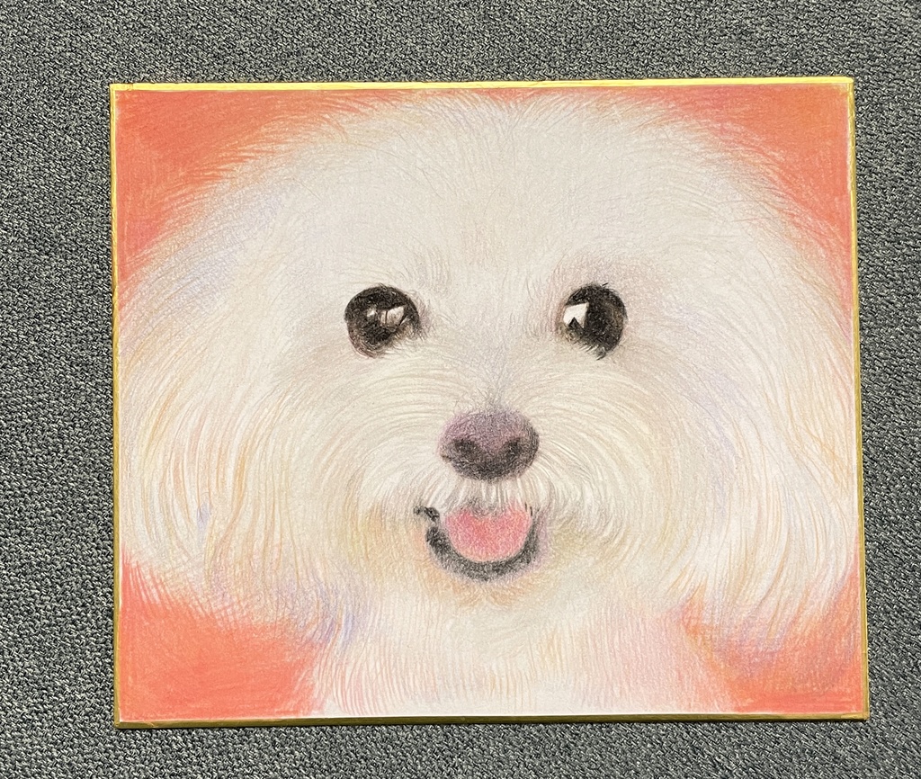 ペット似顔絵 (Pet Portraits)