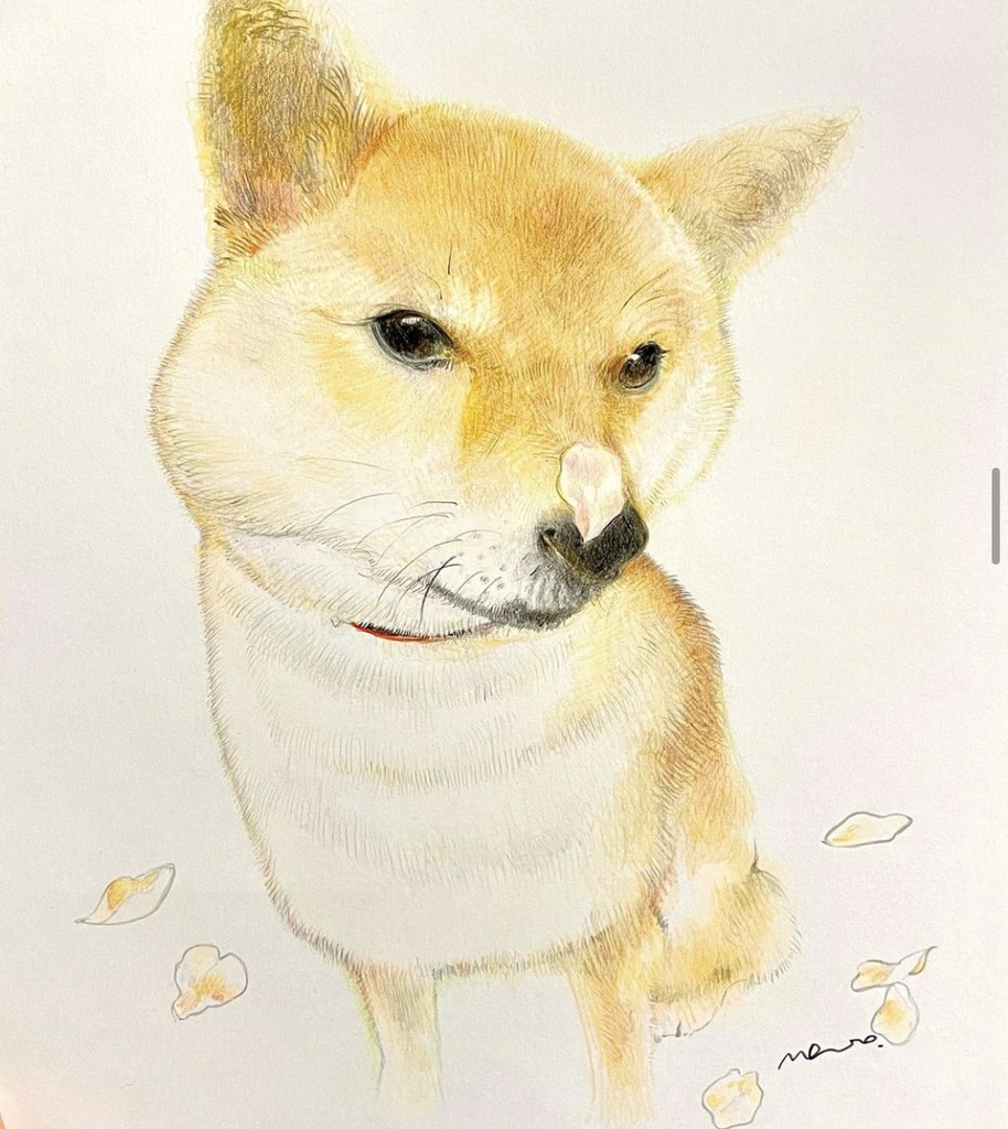 ペット似顔絵 (Pet Portraits)