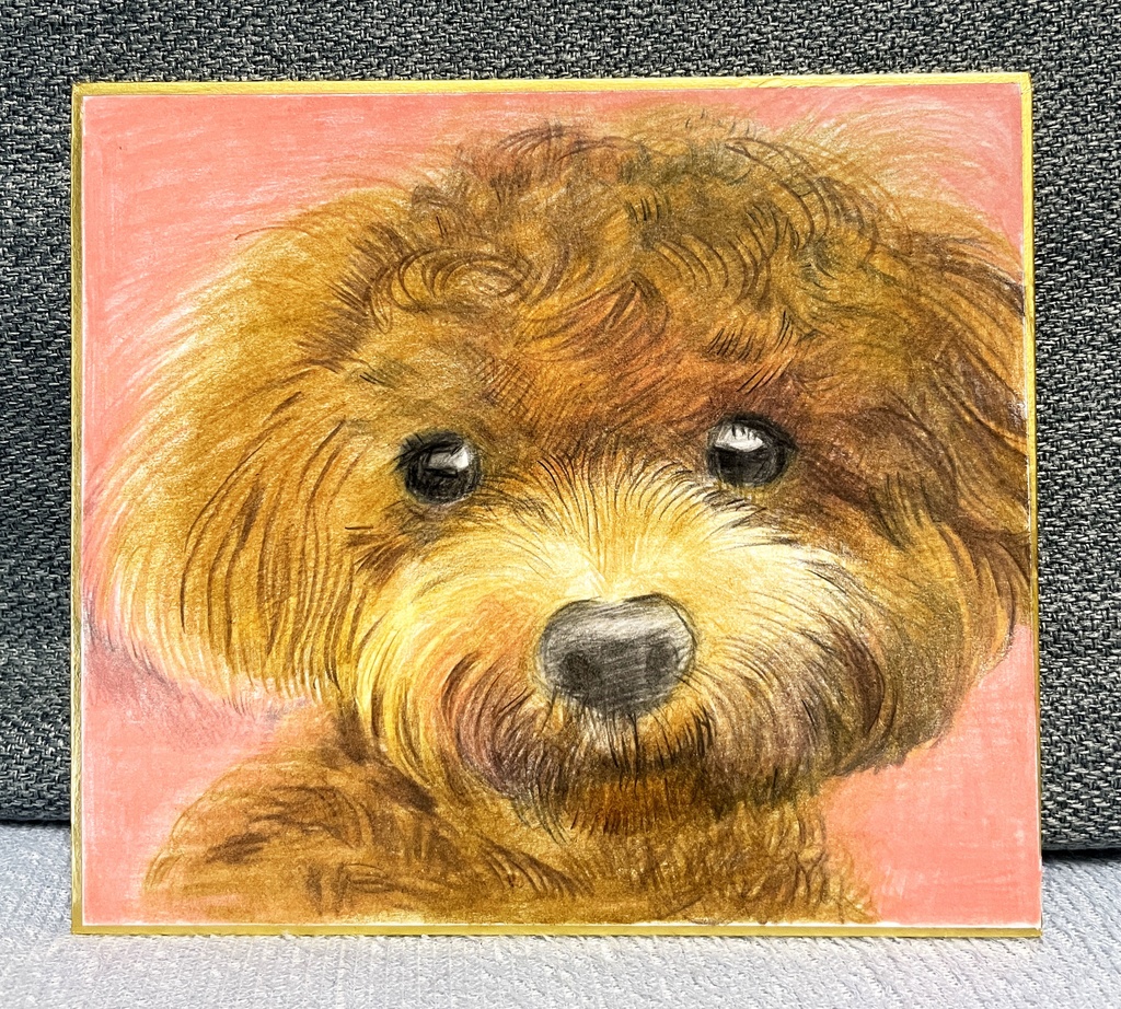 ペット似顔絵 (Pet Portraits)