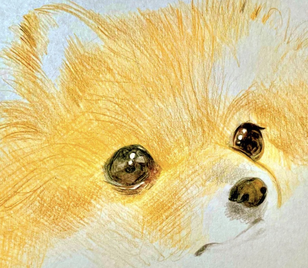 ペット似顔絵 (Pet Portraits)