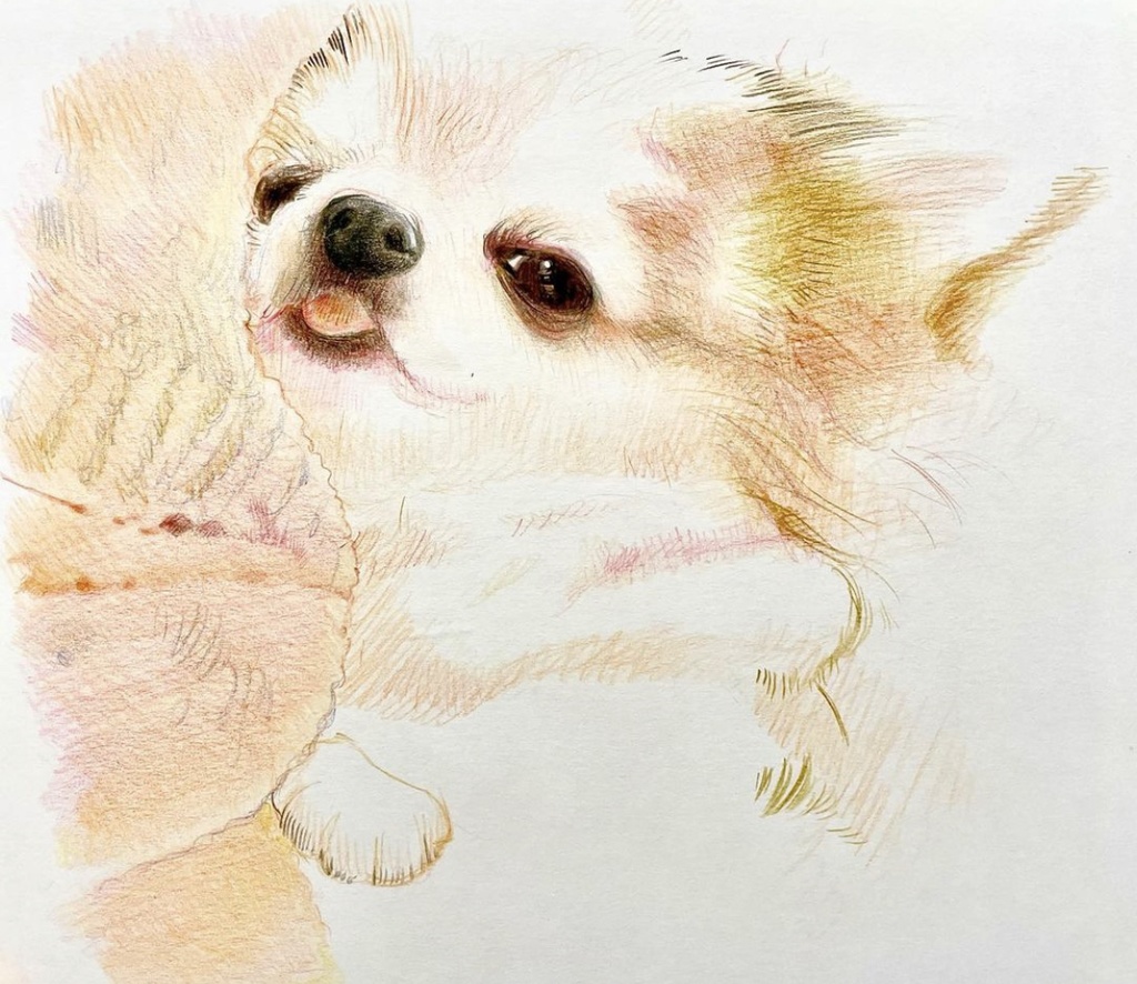 ペット似顔絵 (Pet Portraits)