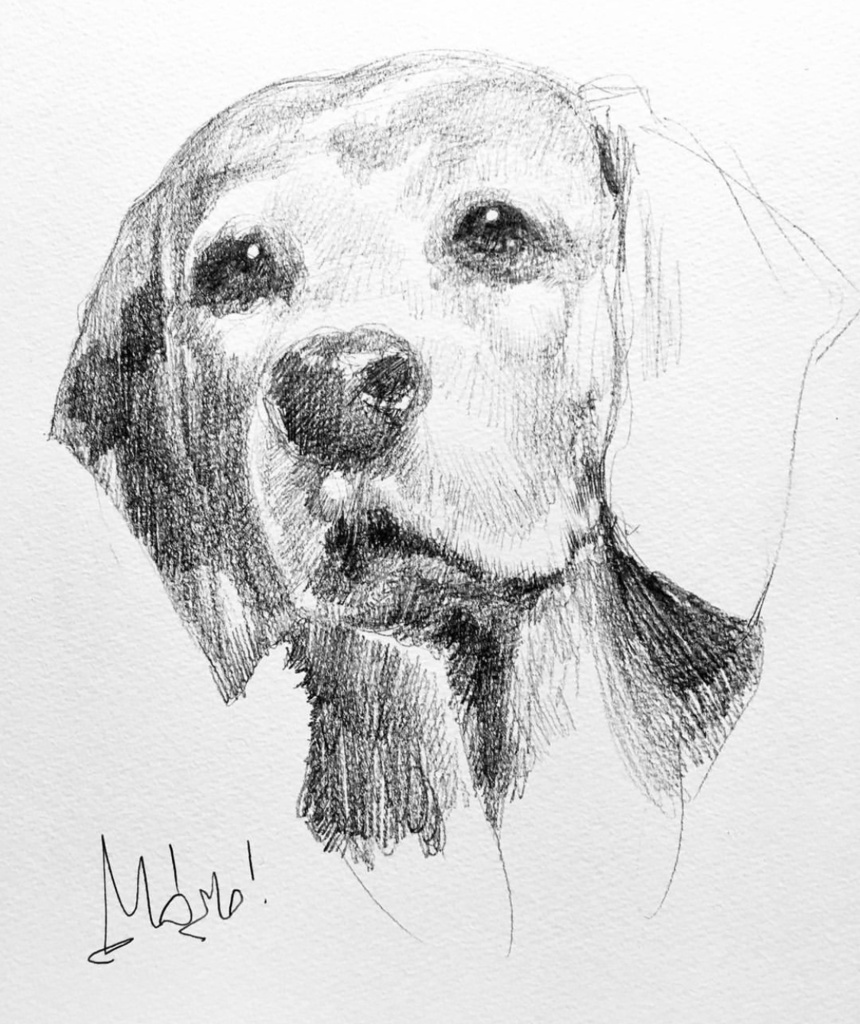 ペット似顔絵 (Pet Portraits)