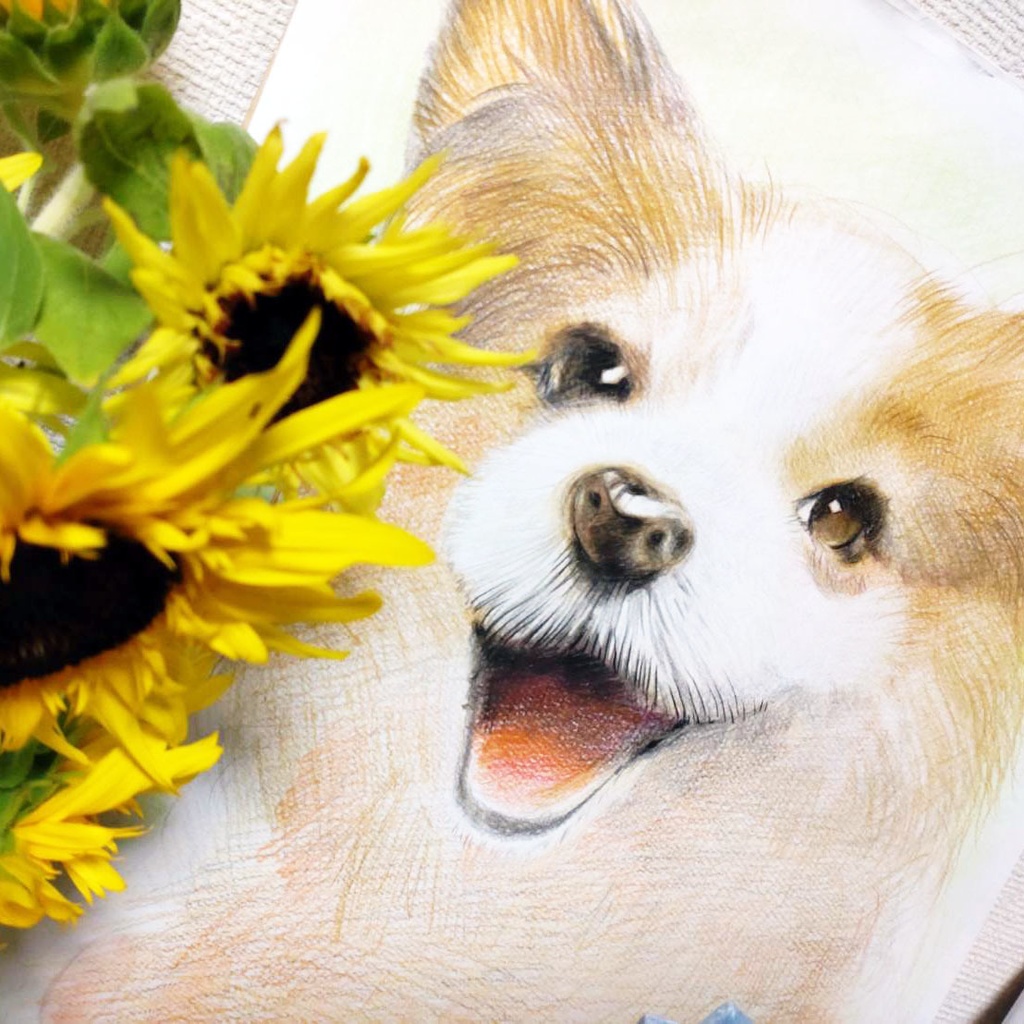 ペット似顔絵 (Pet Portraits)