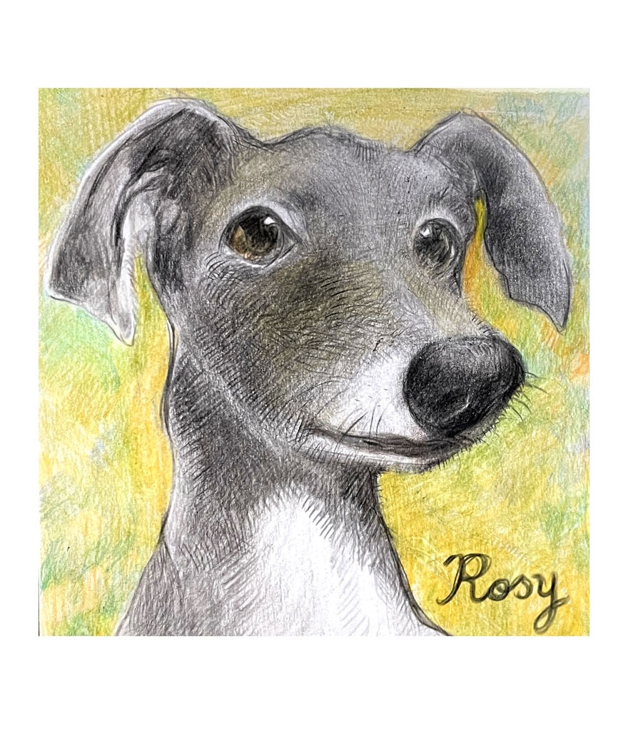 ペット似顔絵 (Pet Portraits)