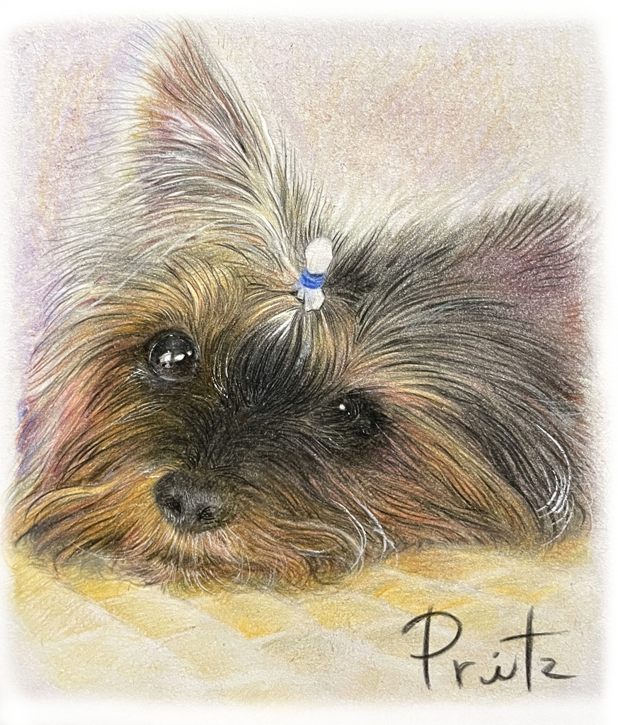 ペット似顔絵 (Pet Portraits)